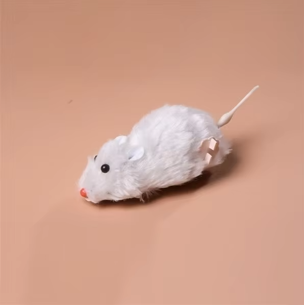 Electric Cat Toy Mouse – Interactive Racing Mouse For