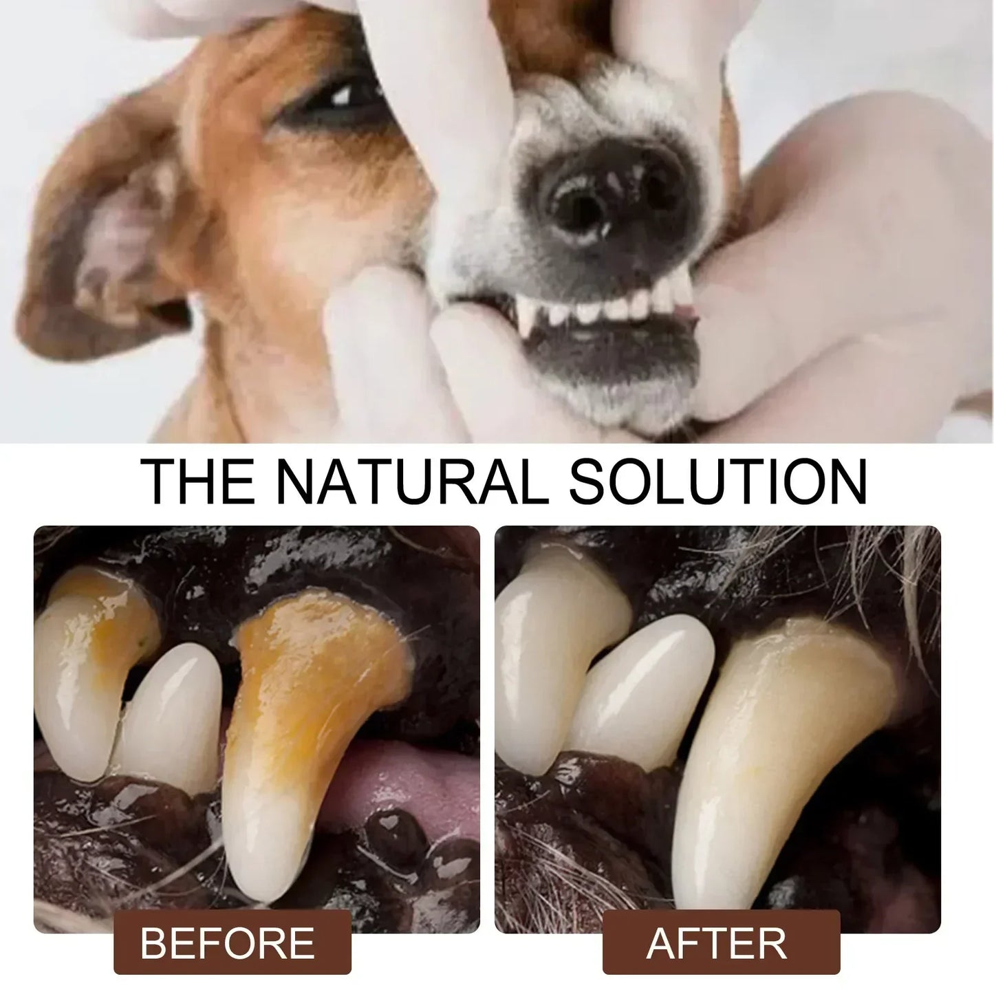 Pet Grooming Care Dental Spray for Dogs & Cats - Bad...