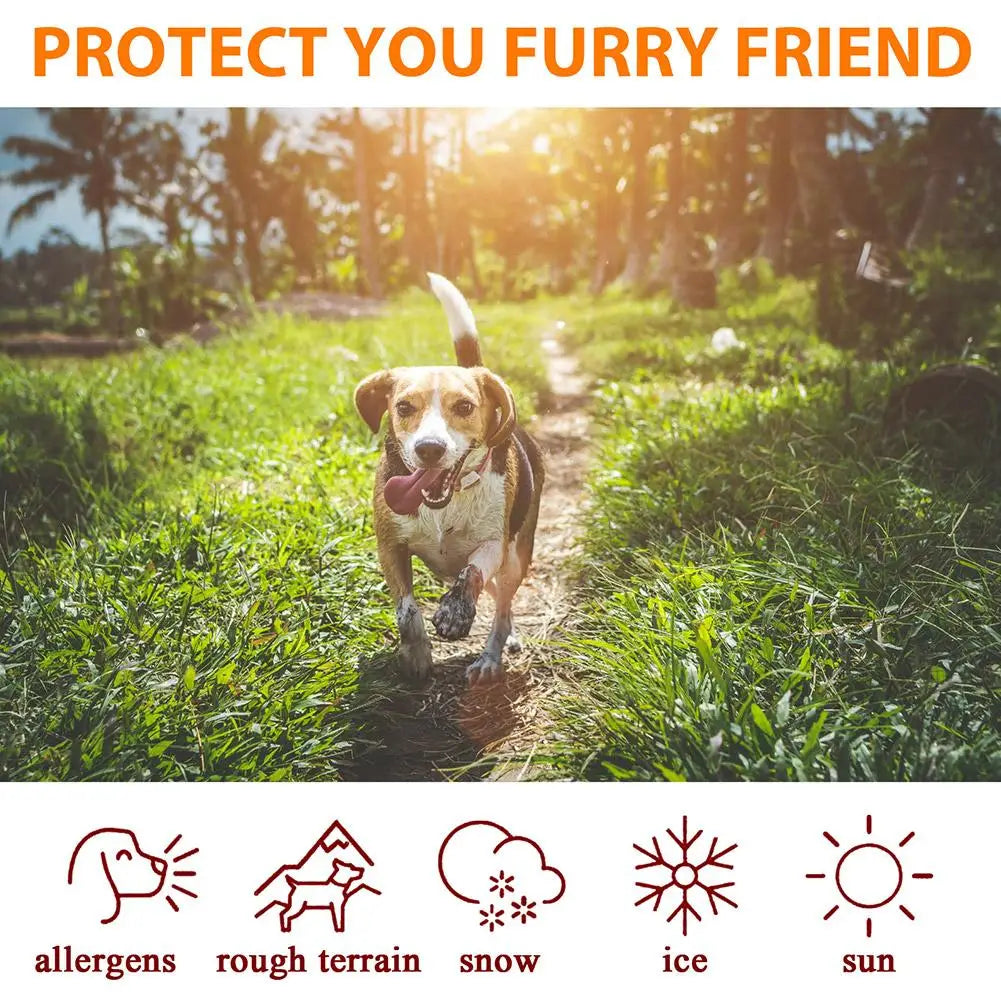 Pet Paw Balm for Dogs & Cats - Moisturizing Foot Care...