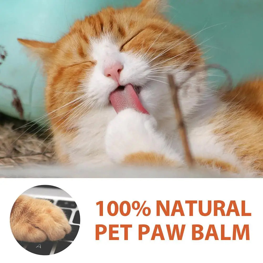 Pet Paw Balm for Dogs & Cats - Moisturizing Foot Care...