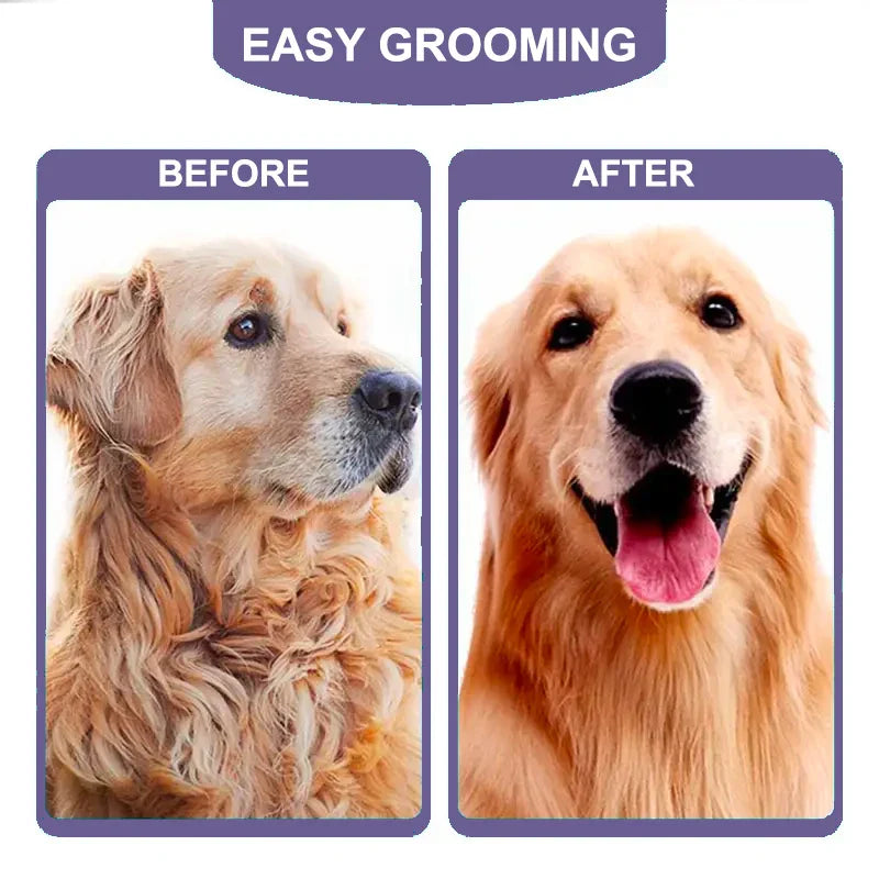 Stainless Steel Pet Grooming Brush - Anti-Lice Comb for...