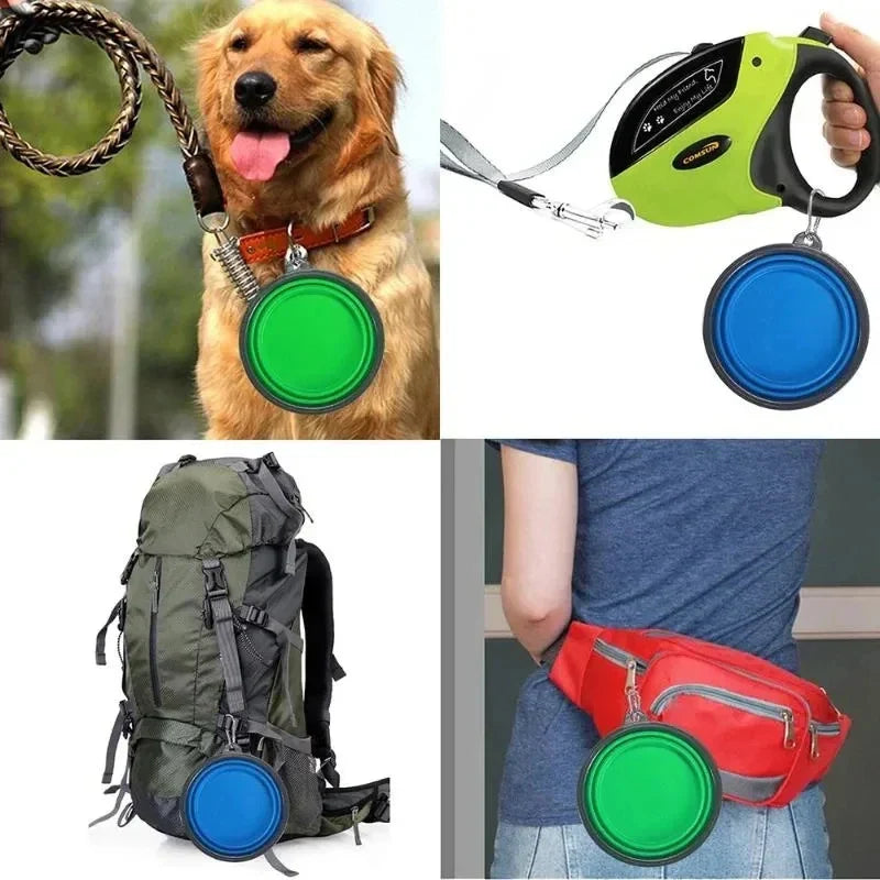 Pet Folding Travel Bowl - Dog & Cat Food & Water