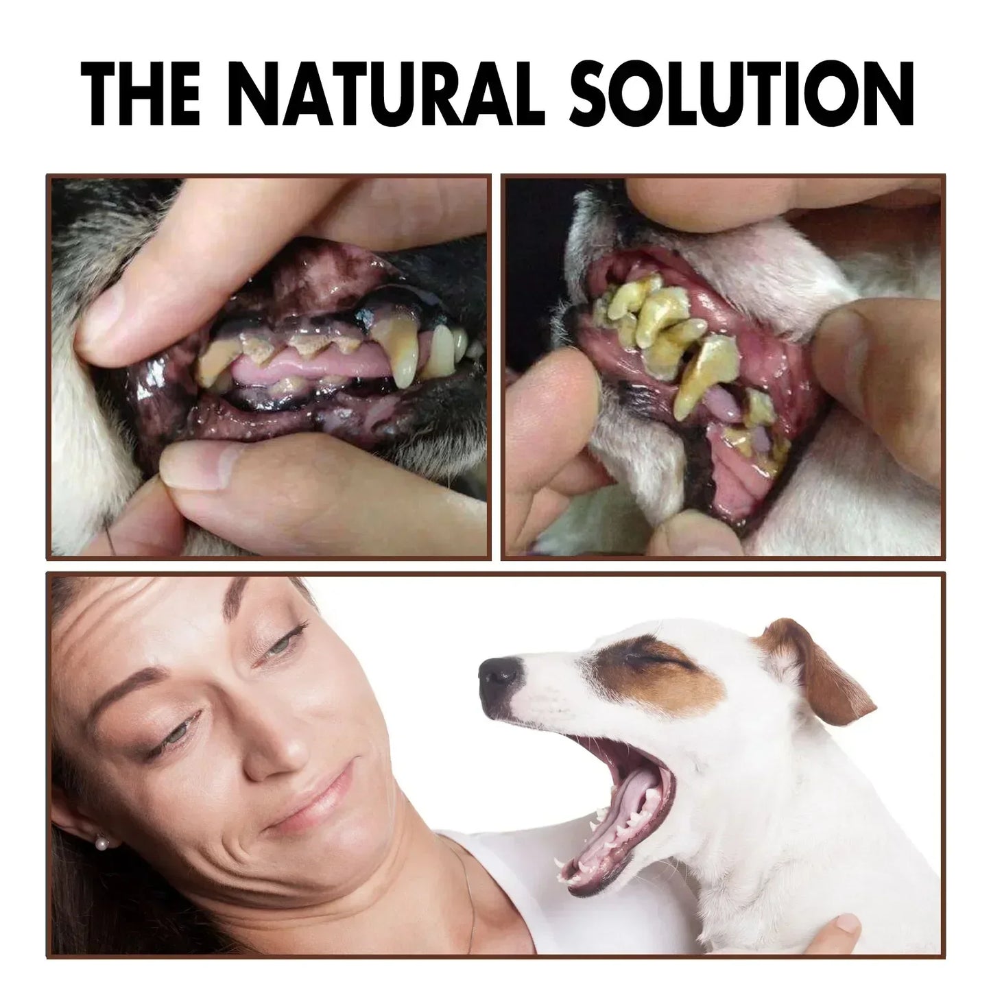 Pet Grooming Care Dental Spray for Dogs & Cats - Bad...