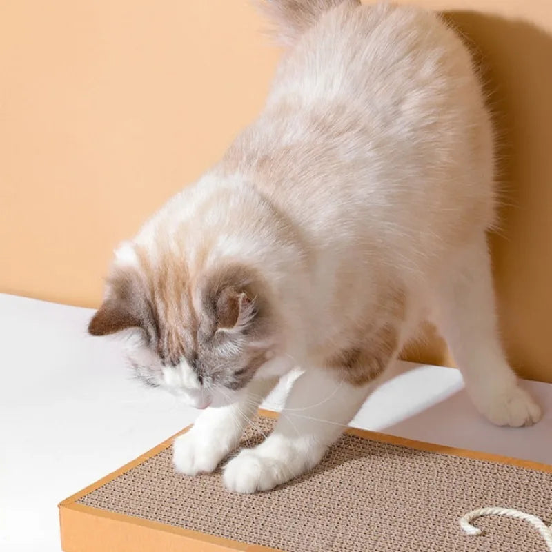Pet Cat Scratching Board Cat Cardboard Mat for Claw...