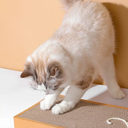 Pet Cat Scratching Board Cat Cardboard Mat for Claw...