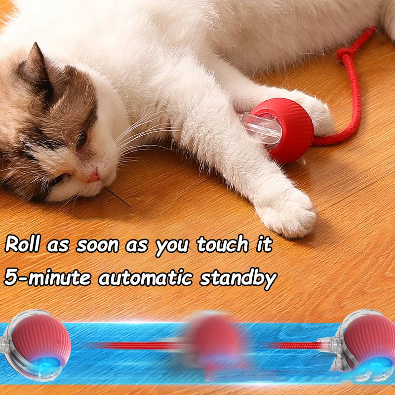 Fruit Interactive Cat Ball Toy - Automatic Rolling...