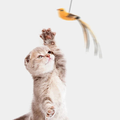 Simulated Bird Cat Toys - Upgraded Feather Teasing...