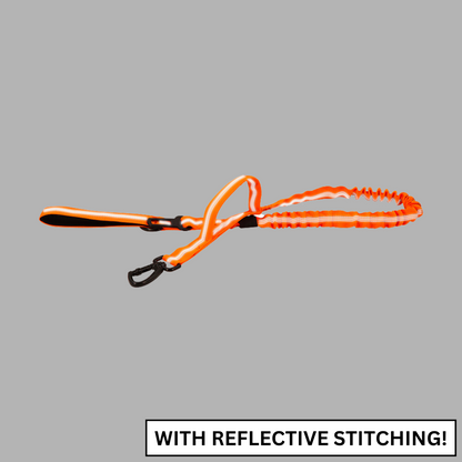 Dog Leash Tactical Double-Handle Padded Bungee Center...