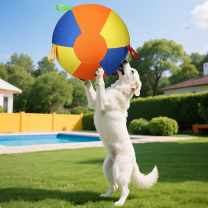 Inflatable Dog Herding Ball – Durable Outdoor Push & Chase Exercise Toy