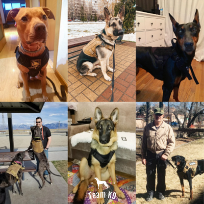 Tactical Dog Harness System All-In-One Training Bundle...