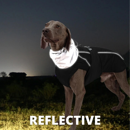 Water-Resistant Dog Coat With Reflective Strips And...