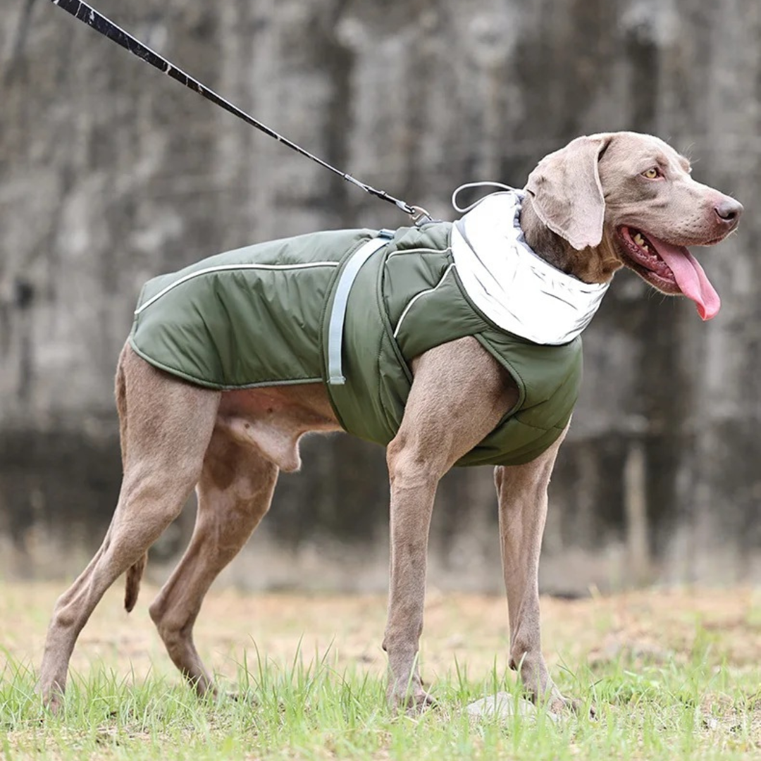 Water-Resistant Dog Coat With Reflective Strips And...