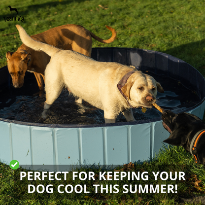 Pop-Up Dog Pool Foldable - Outdoor Bath And Pool For...