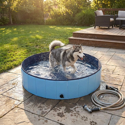 Foldable dog pool in use