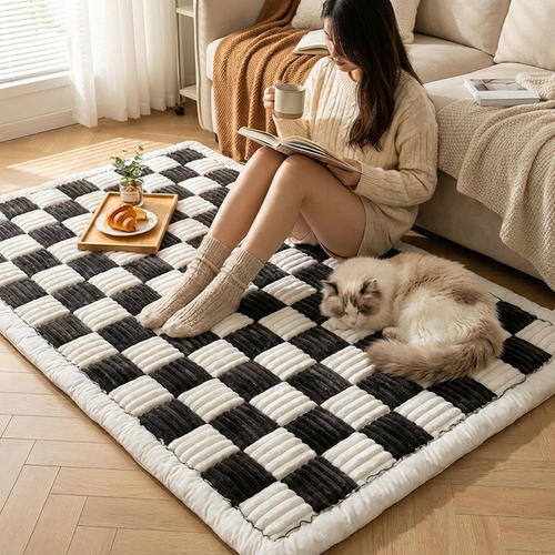 Protective couch cover with pet