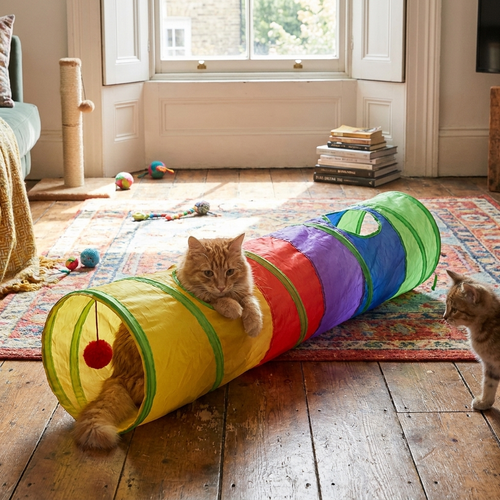 Cat tunnel in use
