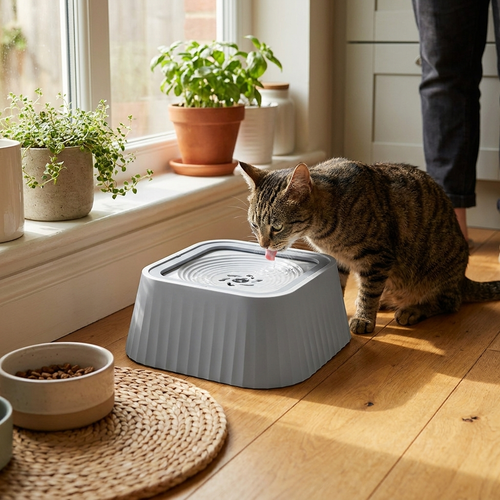 Pet water fountain with floating plates in use