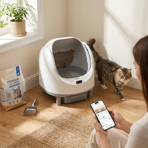 Litter box with stairs in room
