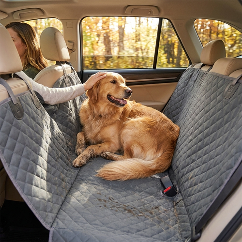 Cargo cover in car with pet