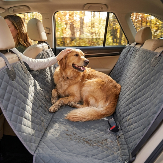 Cargo cover in car with pet