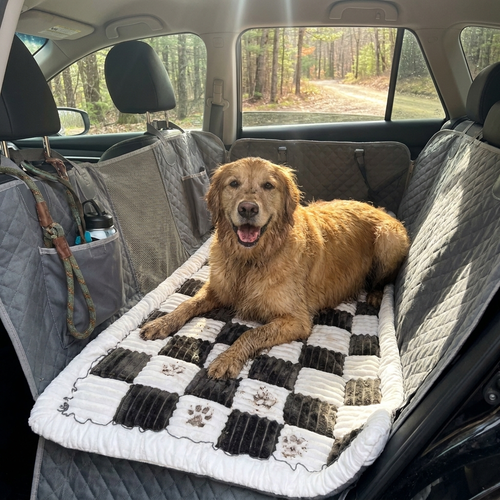 Backseat dog bed in car