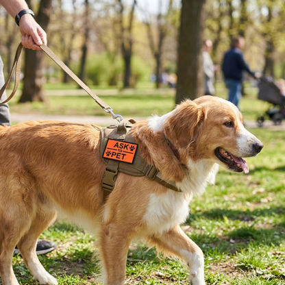 Ask to pet patch on dog harness