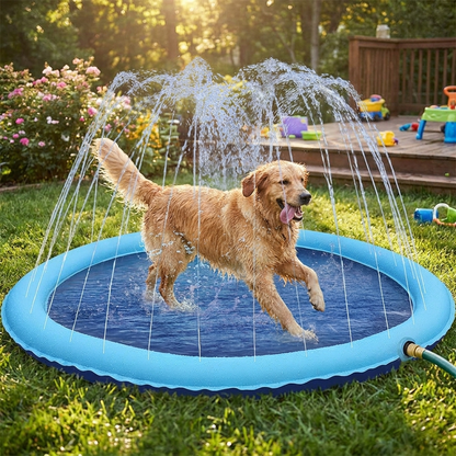 Dog splash pad fountain in backyard