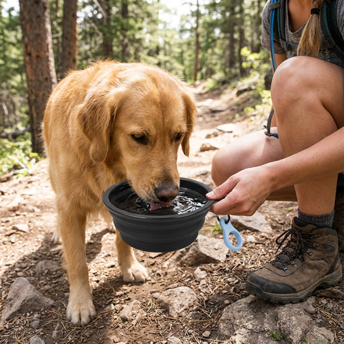 Collapsible travel bowl in use