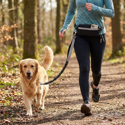 Double-handle bungee dog leash in use