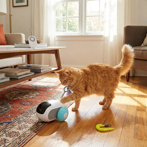 Smart remote control cat car toy in use