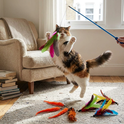Replacement cat feather toy set in use