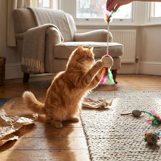 Sisal scratching ball cat toy in use