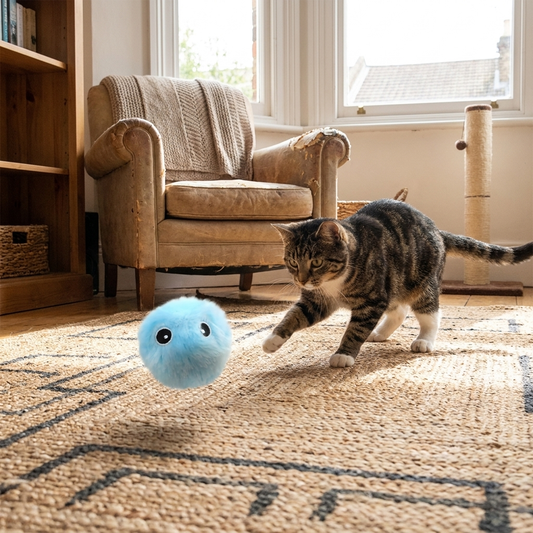 Interactive electric cat ball toy in use