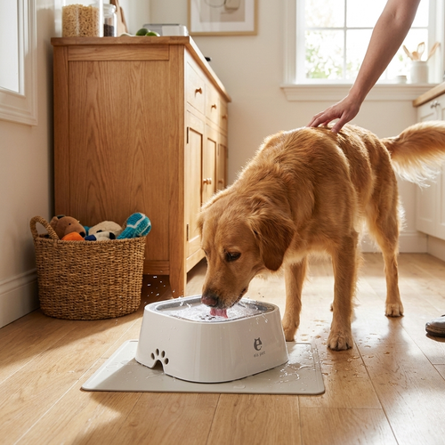 Spill-proof dog water bowl in use