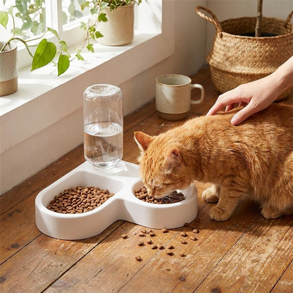 Double dog and cat bowl set in use