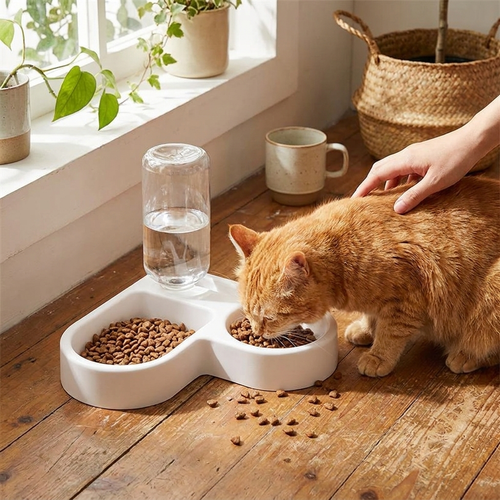 Double dog and cat bowl set in use