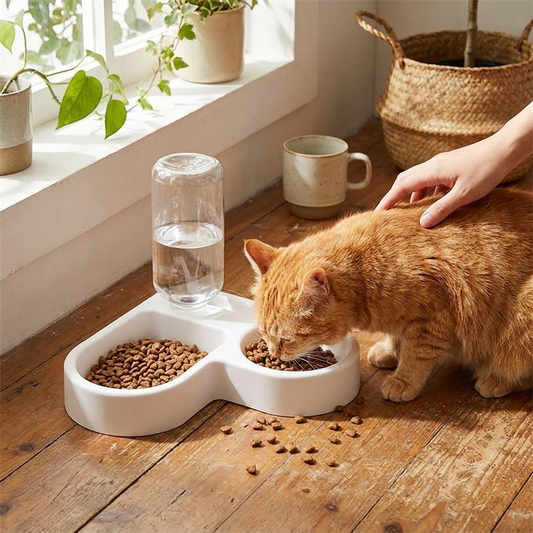 Double dog and cat bowl set in use