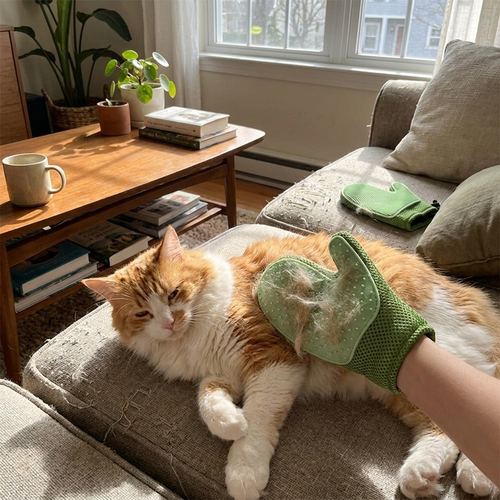 2in1 cat glove