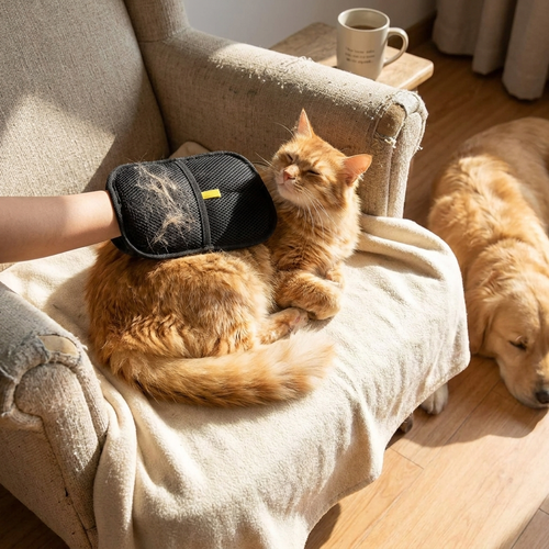 2 Set Pet Hair Remover