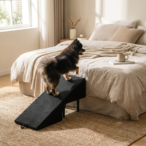 2-in-1 Dog Ramp