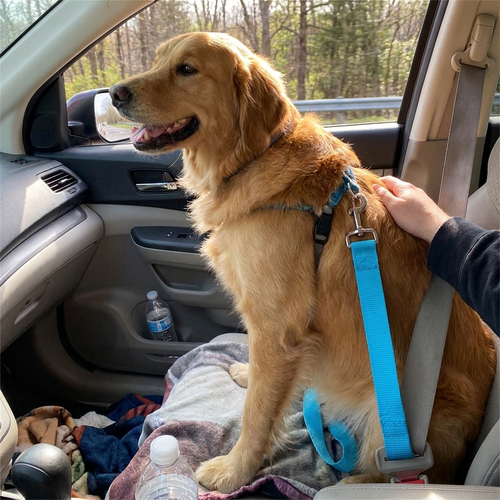 Adjustable Dog Seat Belt