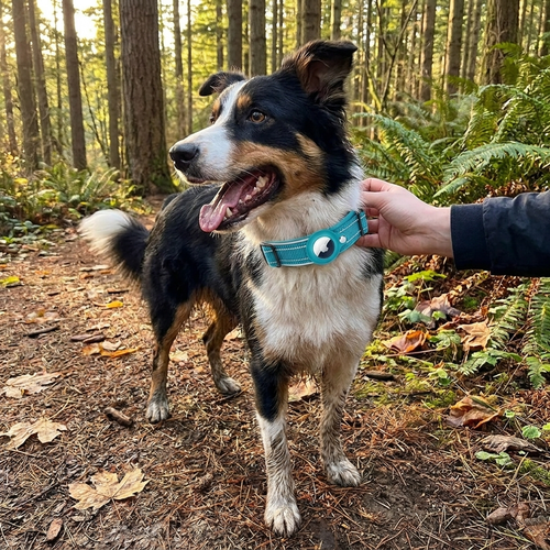 AirTag Dog Collar