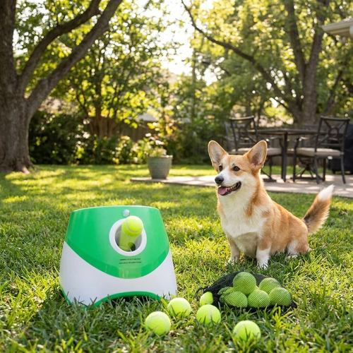 Automatic Dog Ball Thrower