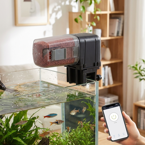Automatic Food Feeder Fish