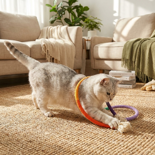 Cat Chew Toys