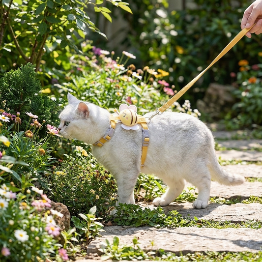 Cat Collar And Harness