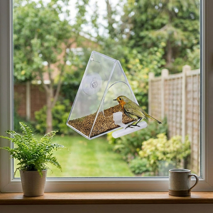 Clear Acrylic Hanging Bird Feeder