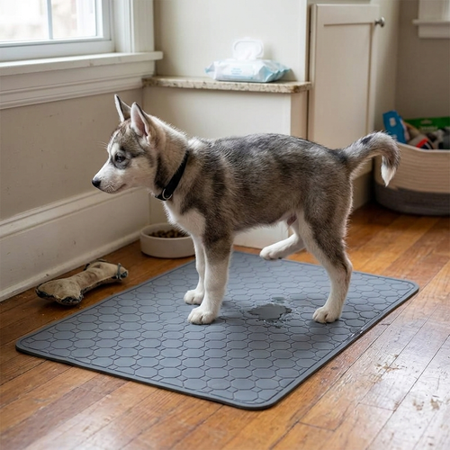 Dog Pee Pads