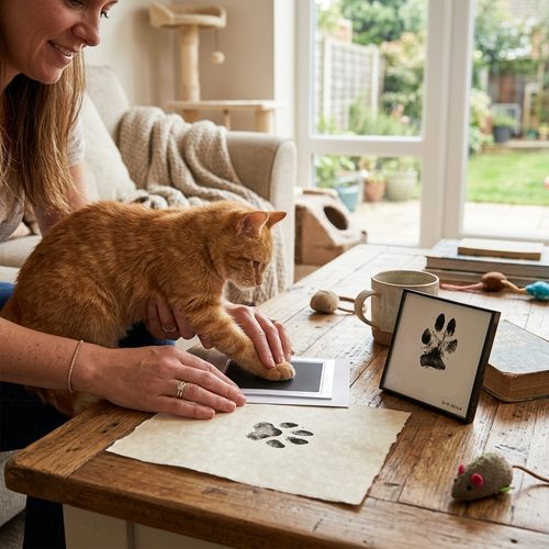 Dog Paw Print Kit