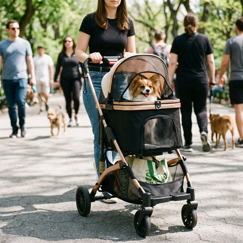 Dog Stroller and Transport Box